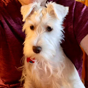 Meet your Posher, Brenda